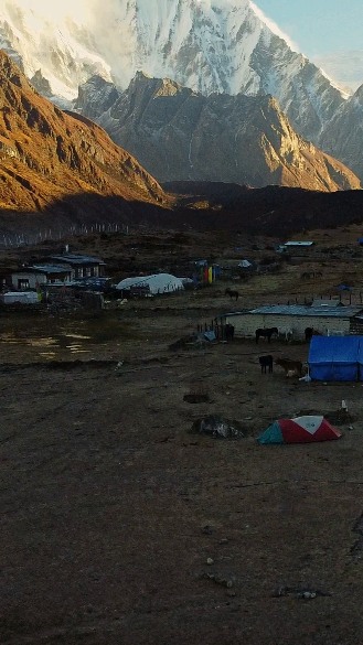 Dreams of frosty mornings at camp,