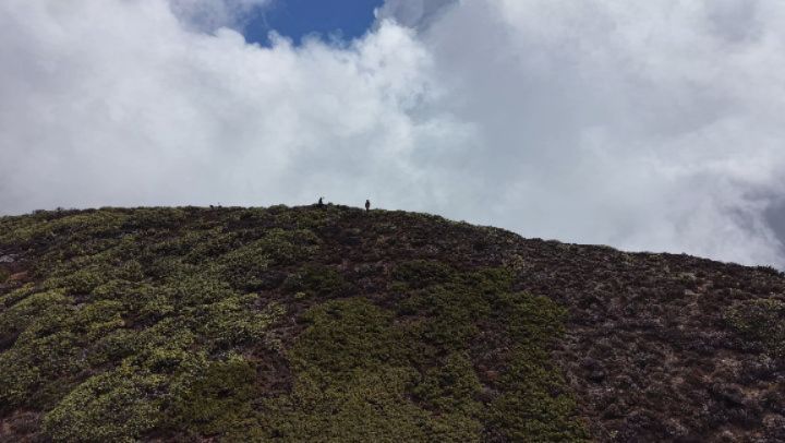 So we did one around Brigdung la, locals call it Brubding Ya. After a spontaneous decision, @thescapegoatxo and I called up our host Choki Dema to setup a local guide and gunned for it.